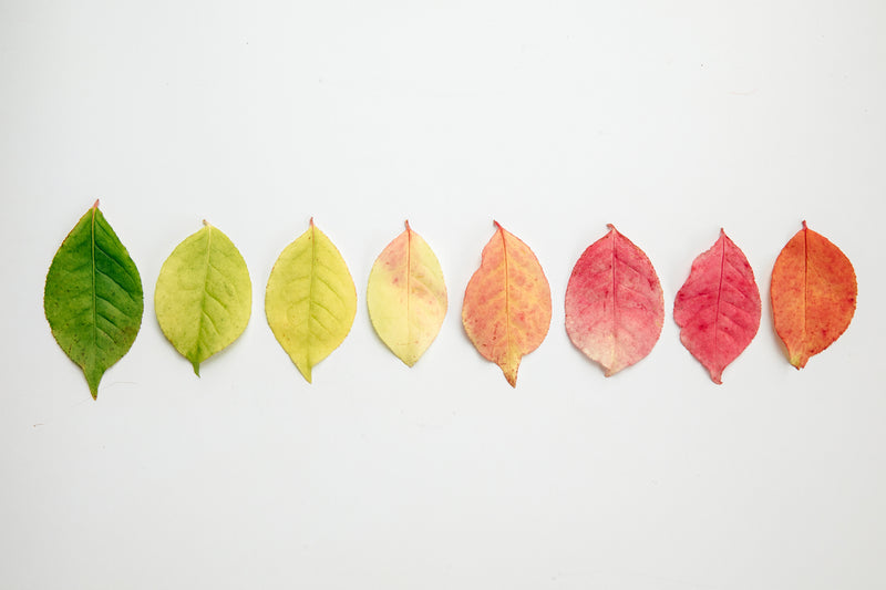 Des couleurs qui font du bien